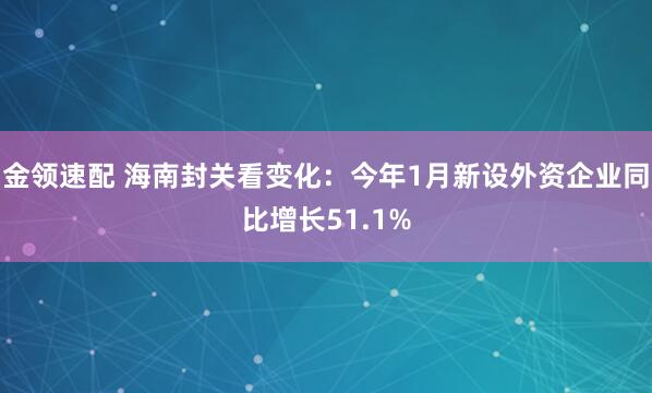 金领速配 海南封关看变化：今年1月新设外资企业同比增长51.1%