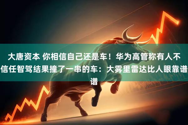 大唐资本 你相信自己还是车！华为高管称有人不信任智驾结果撞了一串的车：大雾里雷达比人眼靠谱