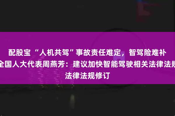 配股宝 “人机共驾”事故责任难定，智驾险难补位！全国人大代表周燕芳：建议加快智能驾驶相关法律法规修订